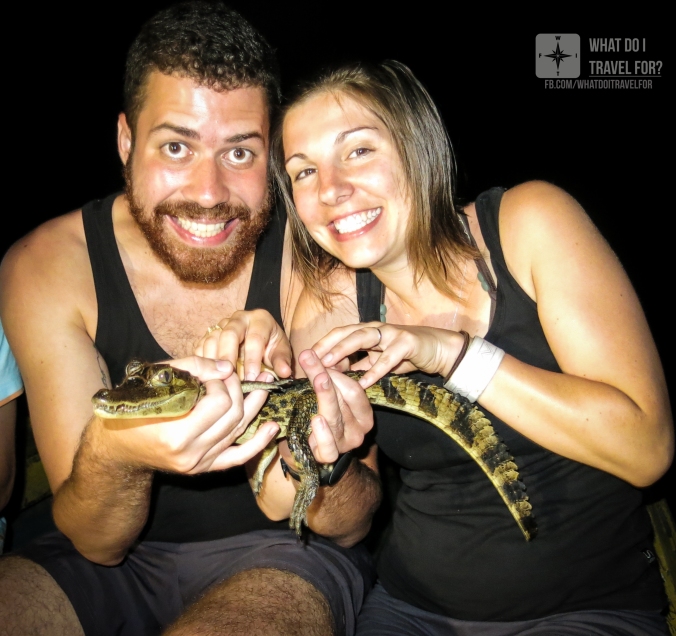 Spotting caimans at night is one of the highlights of the tour.